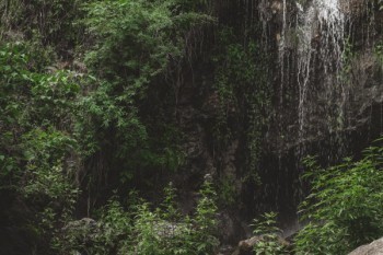 養(yǎng)老保險(xiǎn)交多少年