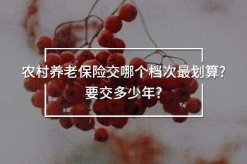 農(nóng)村養(yǎng)老保險交哪個檔次最劃算