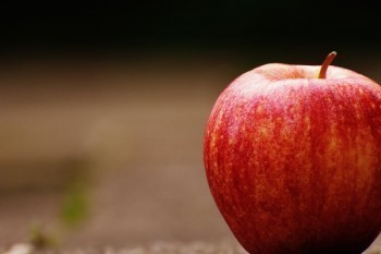 社會保險網(wǎng)上服務平臺官網(wǎng)