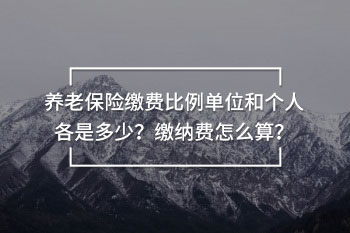 養(yǎng)老保險繳費比例單位和個人