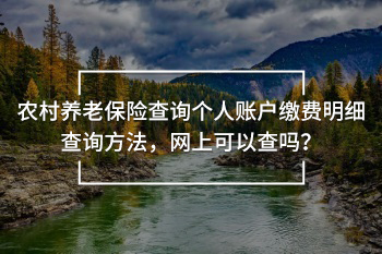 農(nóng)村養(yǎng)老保險(xiǎn)查詢(xún)個(gè)人賬戶繳費(fèi)明細(xì)查詢(xún)