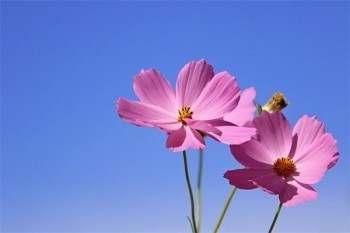 保險(xiǎn)不支持退保是什么意思