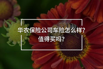 華農(nóng)保險公司車險怎么樣？值得買嗎？