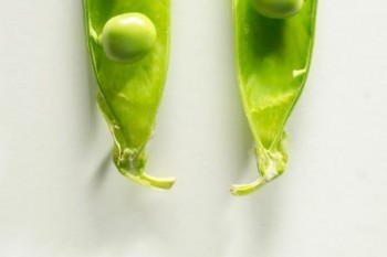 太平康悅醫(yī)療保險怎么樣