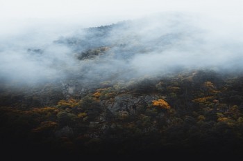交保費(fèi)一年要退保能退多少錢