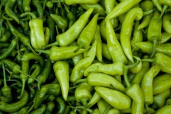 太平商業(yè)醫(yī)療保險(xiǎn)險(xiǎn)種