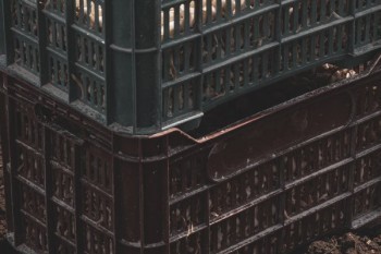 短險退保