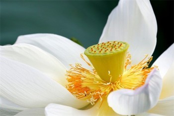 買(mǎi)商業(yè)醫(yī)療保險(xiǎn)有用嗎