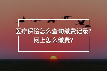 醫(yī)療保險怎么查詢繳費記錄
