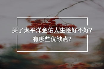 買了太平洋金佑人生險(xiǎn)好不好