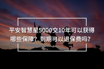 平安智慧星5000交10年