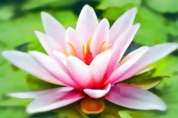 退保險怎么能全額退保