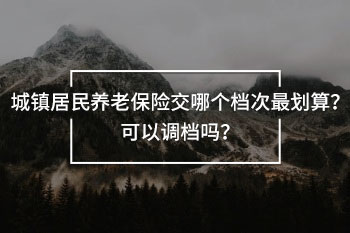 鎮(zhèn)居民養(yǎng)老保險交哪個檔次最劃算