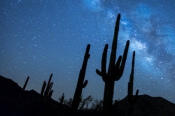 北大方正人壽退保費啥時候到賬