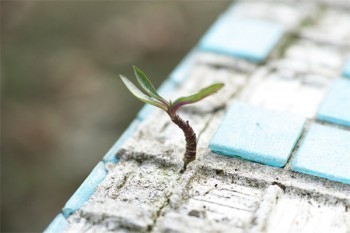 補(bǔ)充社保的商業(yè)醫(yī)療保險(xiǎn)