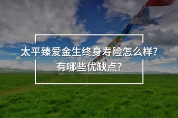 太平臻愛金生終身壽險