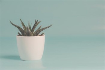 重疾險第一年退保能退多少