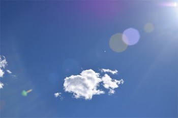 平安保險(xiǎn)退保需要提前多久申請(qǐng)