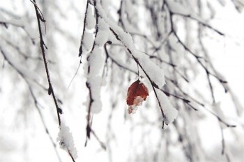 平安退保當(dāng)天能拿到錢嗎