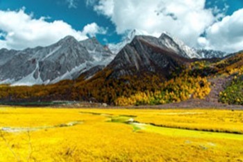 超級(jí)瑪麗3號(hào)max重疾險(xiǎn)是哪個(gè)公司的