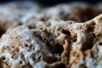 信泰超級瑪麗重疾險2號max學(xué)費(fèi)