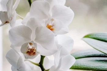 超級(jí)瑪麗4號(hào)重疾險(xiǎn)保費(fèi)怎么樣？投保規(guī)則如何？