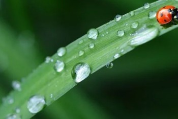 達(dá)爾文三號(hào)和超級(jí)瑪麗三號(hào)哪一個(gè)更好