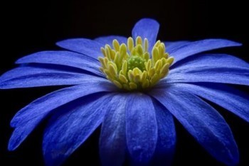 阿波羅1號重疾險缺點(diǎn)