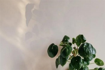 超級(jí)瑪麗2020重疾險(xiǎn)max 人工核保