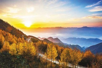 增多多增額終身壽險(xiǎn)有什么好處?值得買嗎?