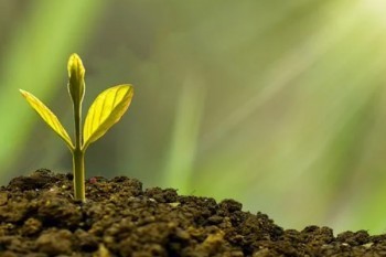 信泰超級瑪麗重疾險3號