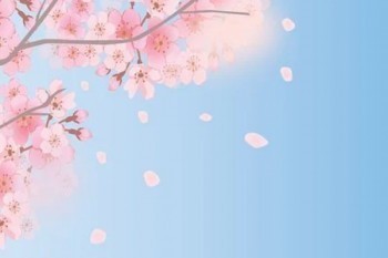 信泰超級(jí)瑪麗5號(hào)和達(dá)爾文5號(hào)比起來(lái)有什么優(yōu)勢(shì)？應(yīng)該怎么買？