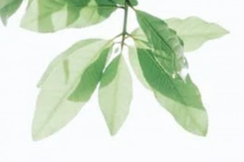 達(dá)爾文5號(hào)煥新版價(jià)格一年多少錢(qián)？保障內(nèi)容有哪些？