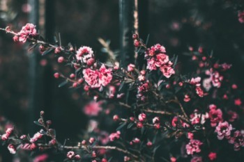 達(dá)爾文保險(xiǎn)怎么樣