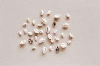 大麥定期壽險(xiǎn)和擎天柱對(duì)比