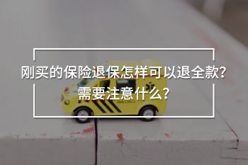 剛買的保險退保怎樣可以退全款