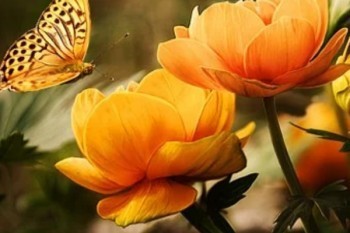 信美人壽天天向上在哪買？優(yōu)點(diǎn)有哪些？