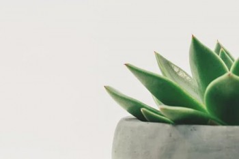 信美人壽天天向上少兒年金怎么樣