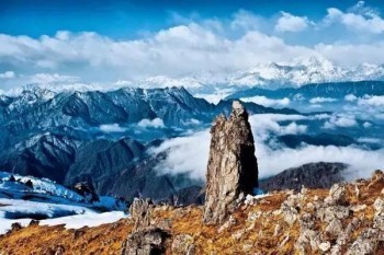 信泰如意享3.0七金版怎么樣?在哪買?