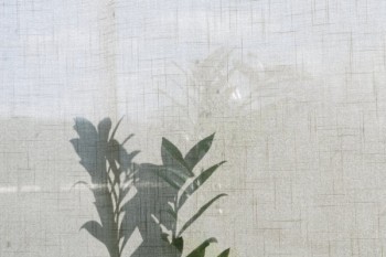 太平洋保險(xiǎn)交了4年退保要扣多少錢