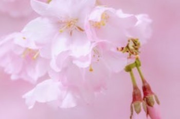 光大永明人壽可靠嗎