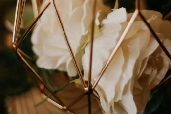 如何在平安保險(xiǎn)退保