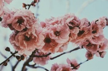 信泰百萬(wàn)守護(hù)重大疾病保險(xiǎn)