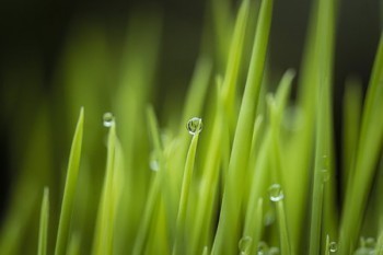 達(dá)爾文5號(hào)煥新版健康告知