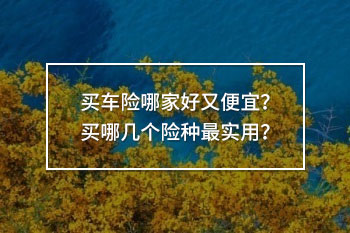 買車險(xiǎn)哪家好又便宜