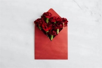 阿波羅1號重疾險(xiǎn)條款
