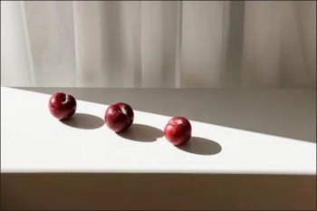 康惠保和達(dá)爾文五號(hào)對(duì)比有什么區(qū)別？各有什么優(yōu)勢(shì)？
