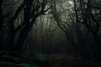 平安目前該保單正在保全退費(fèi)暫停