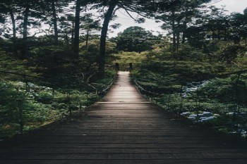 阿波羅多次賠付重疾險1號值得買
