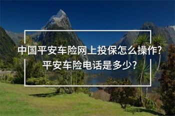 中國平安車險網(wǎng)上投保